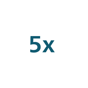 5x Icon
