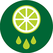 Leaves and greens icon