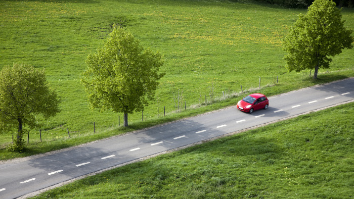 road forest