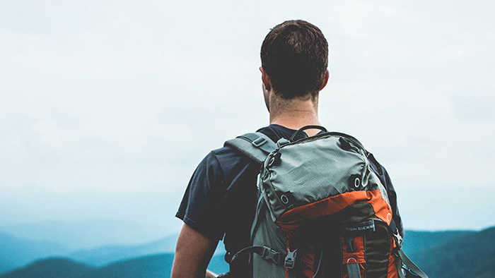 Shaving, Trimming, and Edging all in One