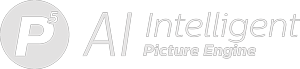 Picture Engine logo
